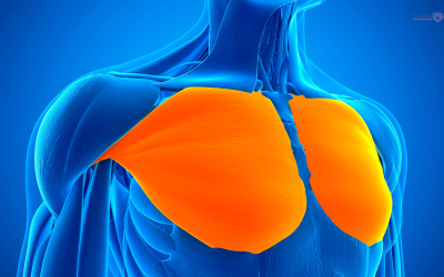 Components of Pulmonary Rehabilitation CME